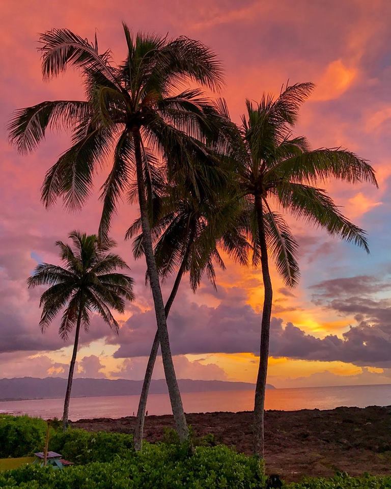 Falling in love with Hawaii