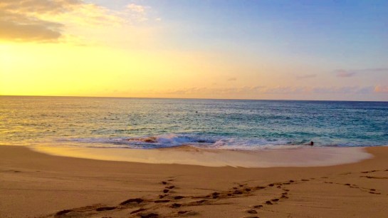 e732c7404838203f-photo