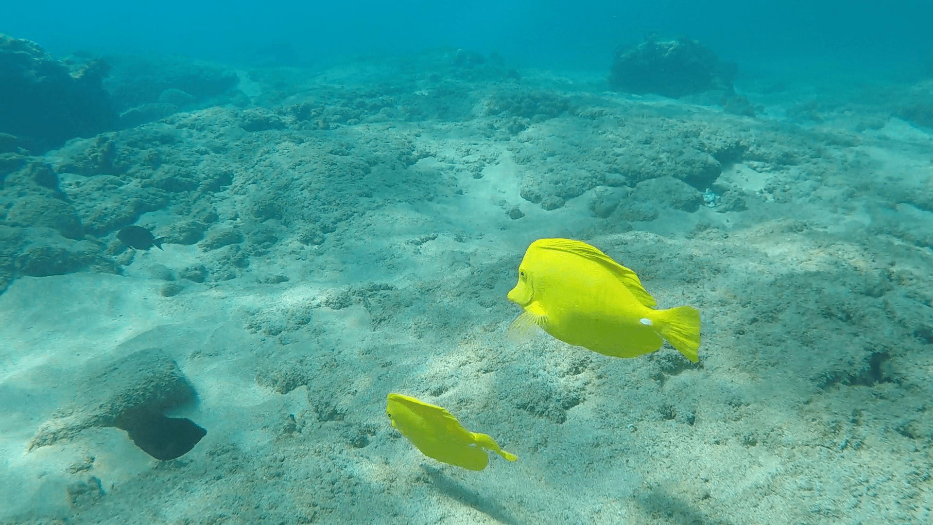 9d82af1ed2e2a68b-photo