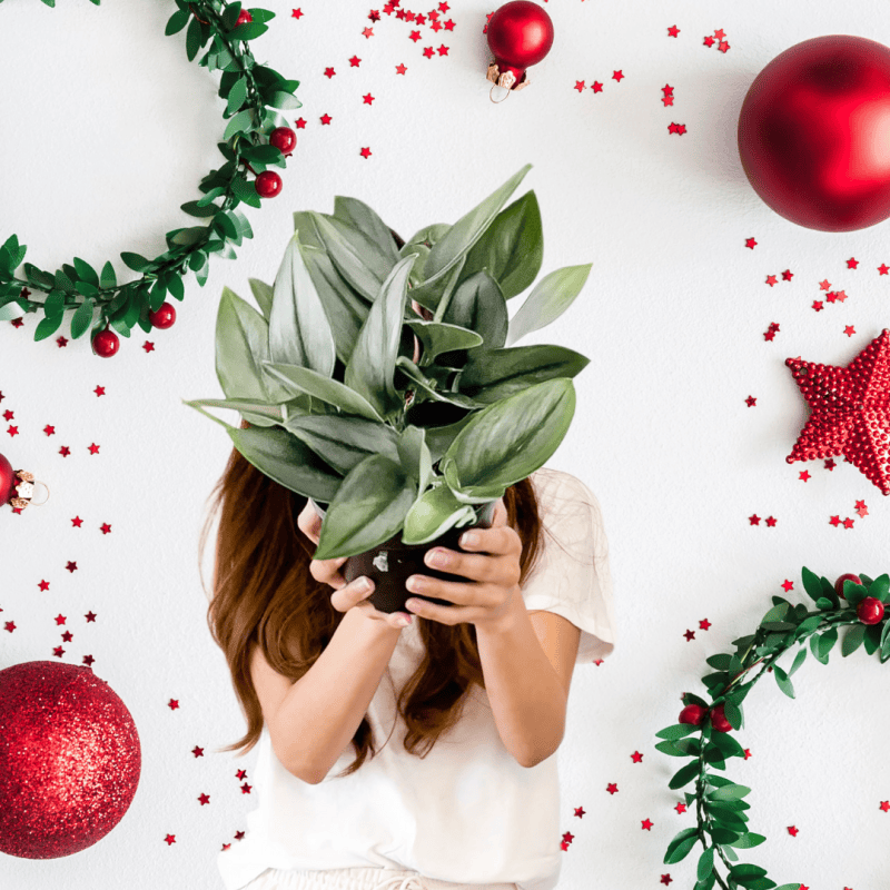 22 Gifts Every Plant Lover&nbsp;Wants