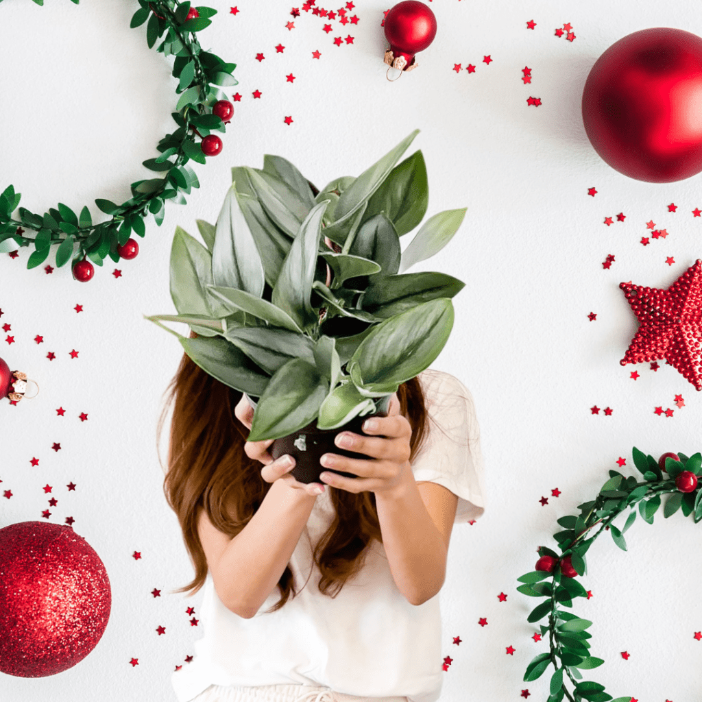 22 Gifts Every Plant Lover Wants