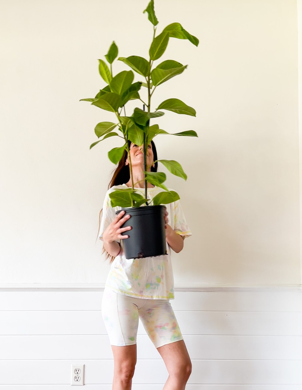 What To Do When You Bring A New Plant Home