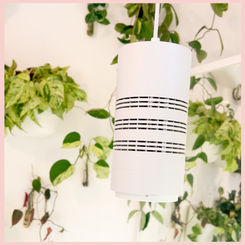 rousseau pendant grow light