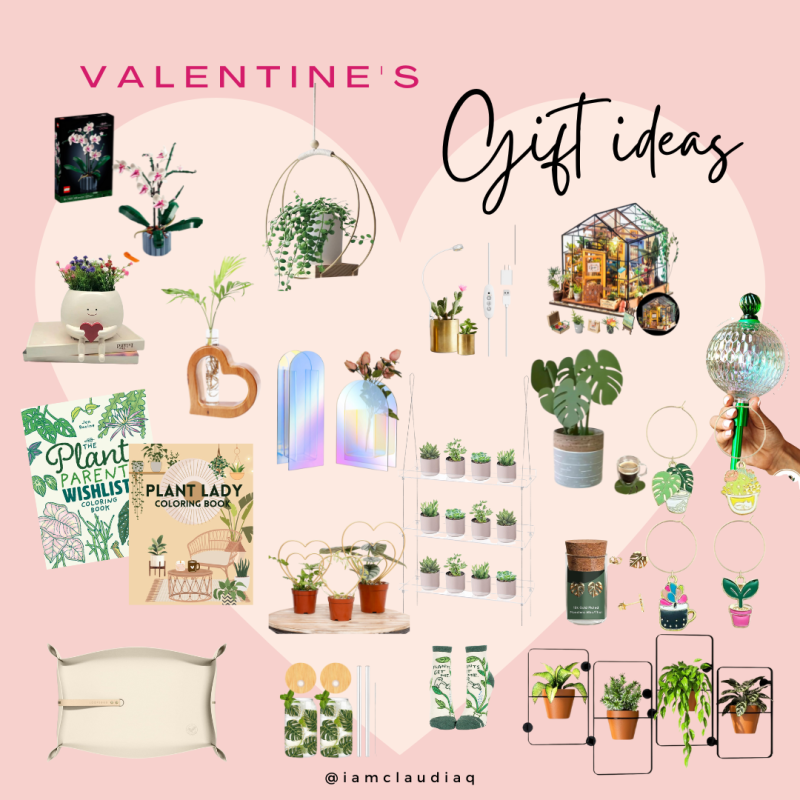 Valentine’s Gift Ideas for the Plant&nbsp;Lover