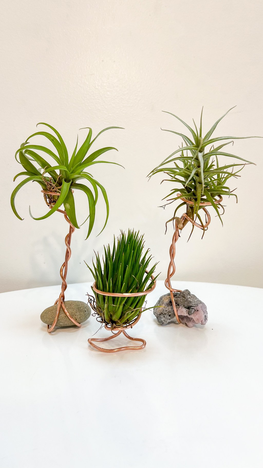 Simple DIY Plant Gift