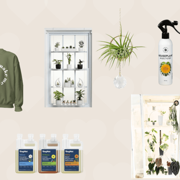 SMALL BUSINESS GIFT GUIDE&nbsp;2023