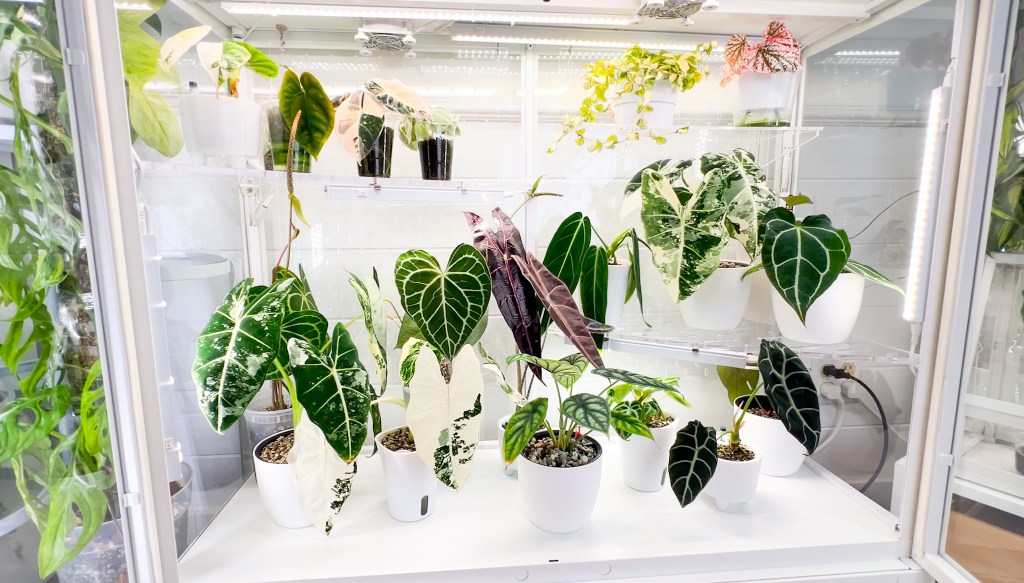 how to- Ikea Greenhouse Cabinet Custom&nbsp;Build