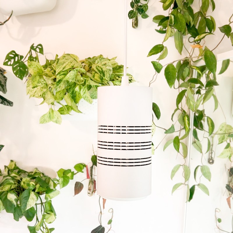 the best grow&nbsp;lights