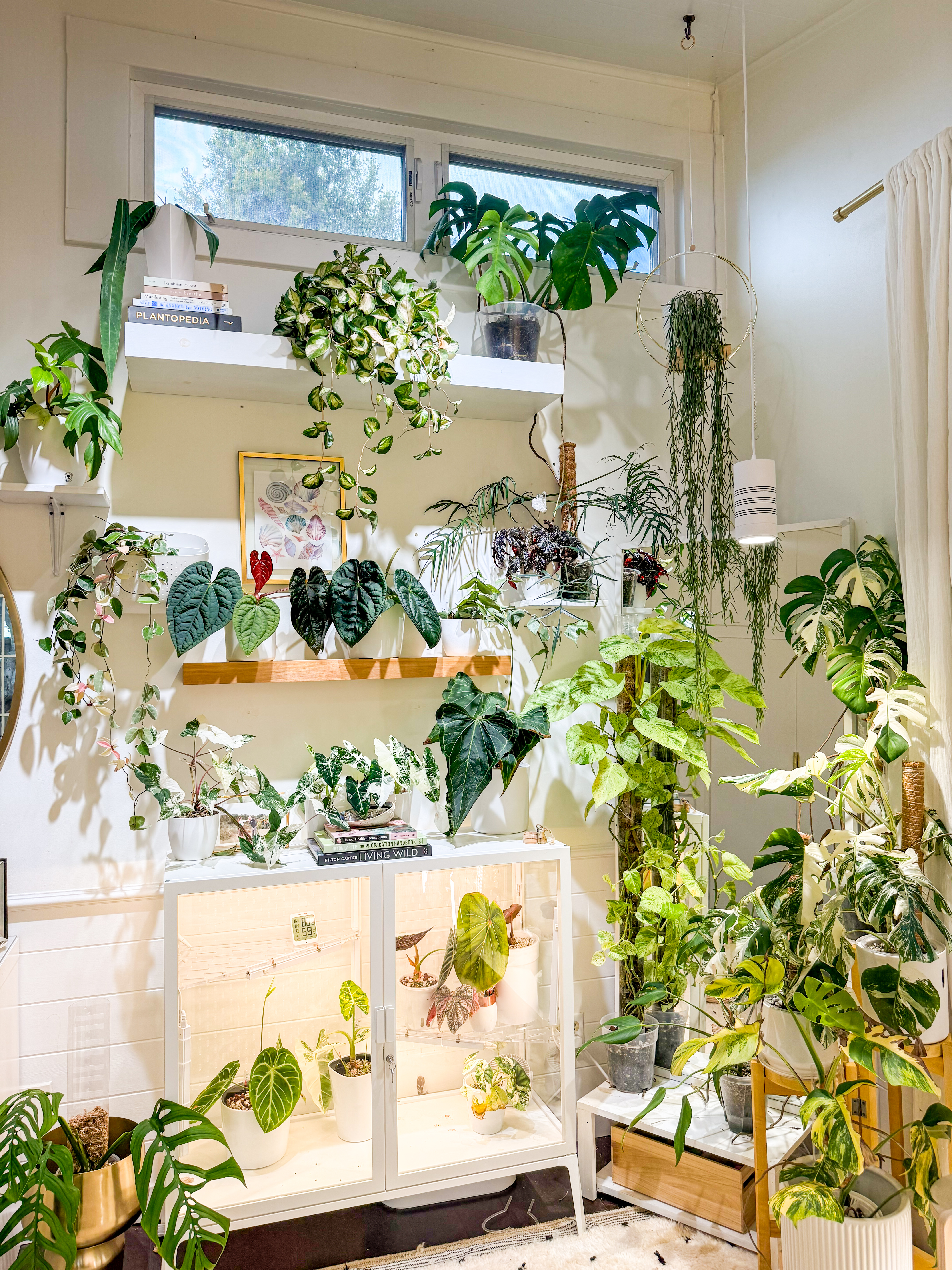 Plant room