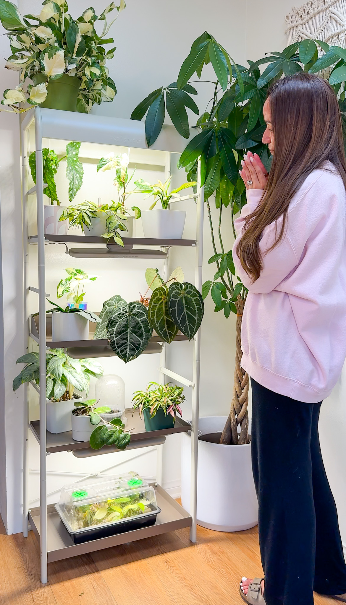 A grow light shelf I actually use
